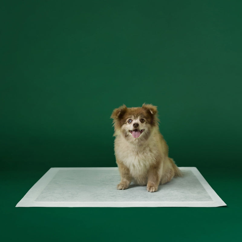 Disposable Dog Pee Pads with AbsorbShield+ Technology Z5